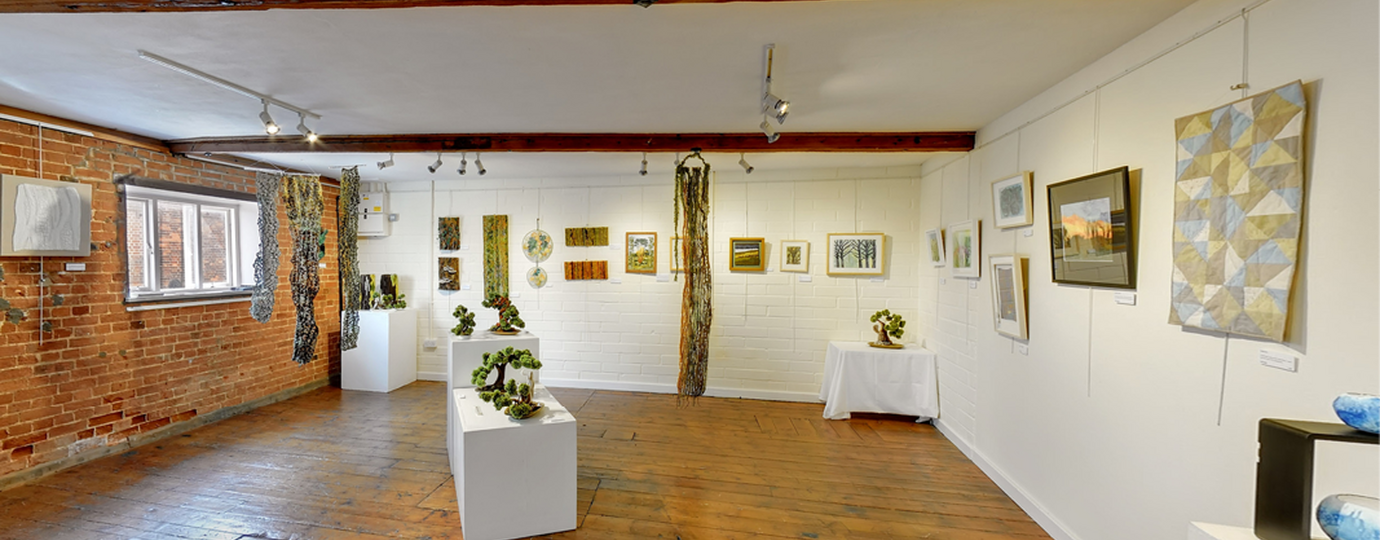 Pond Gallery